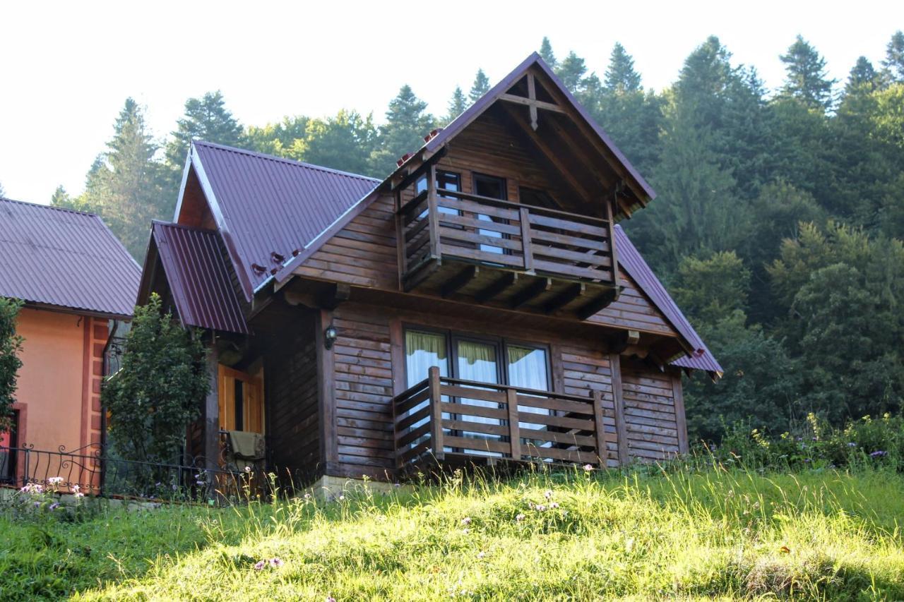 Karpatske Shale Villa Yaremche Bagian luar foto
