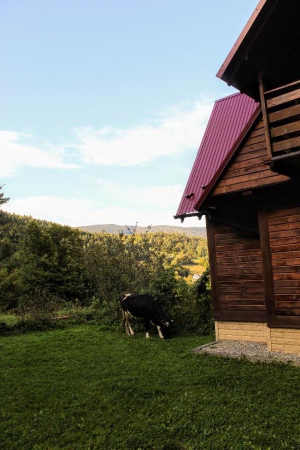 Karpatske Shale Villa Yaremche Bagian luar foto
