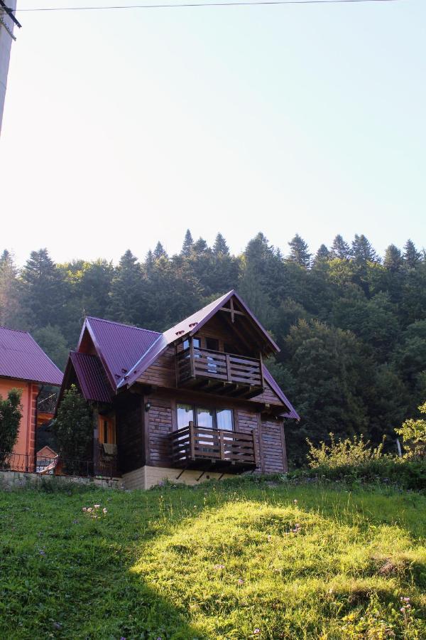 Karpatske Shale Villa Yaremche Bagian luar foto