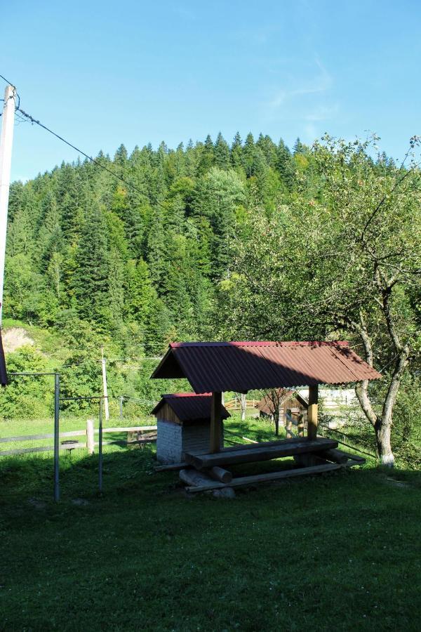 Karpatske Shale Villa Yaremche Bagian luar foto