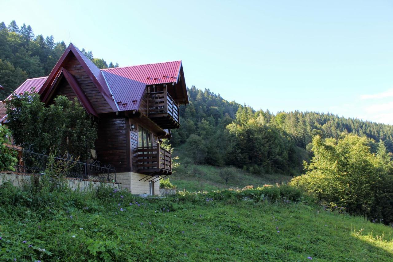 Karpatske Shale Villa Yaremche Bagian luar foto