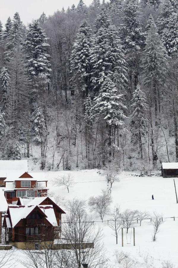 Karpatske Shale Villa Yaremche Bagian luar foto