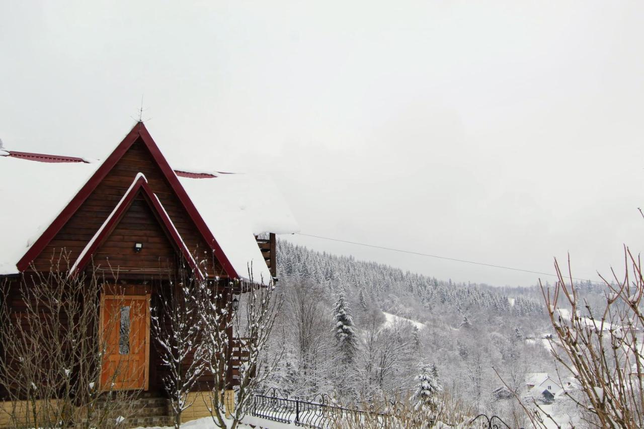 Karpatske Shale Villa Yaremche Bagian luar foto