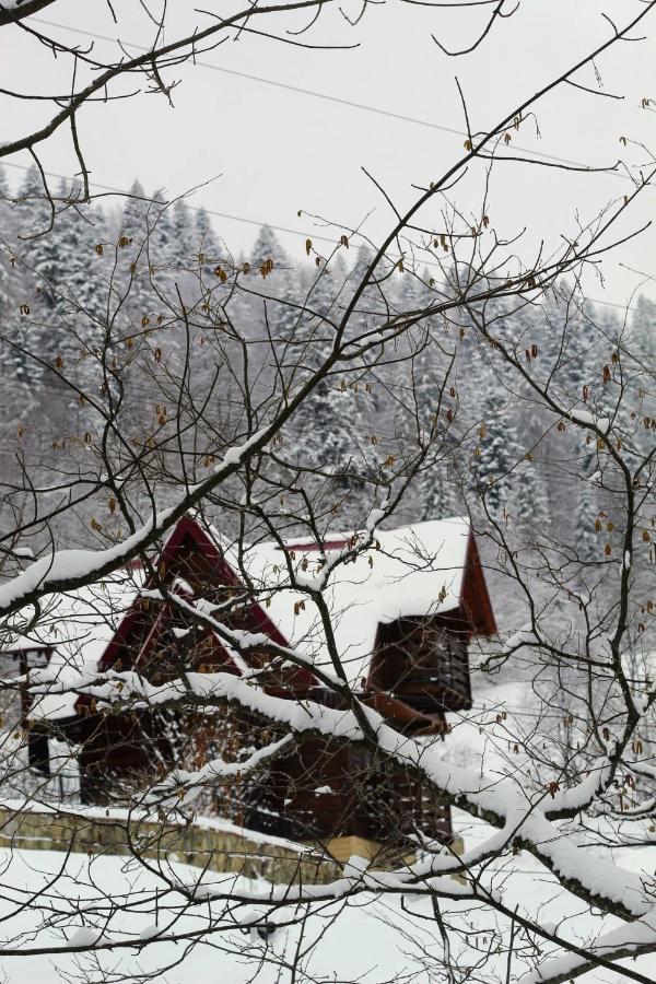 Karpatske Shale Villa Yaremche Bagian luar foto
