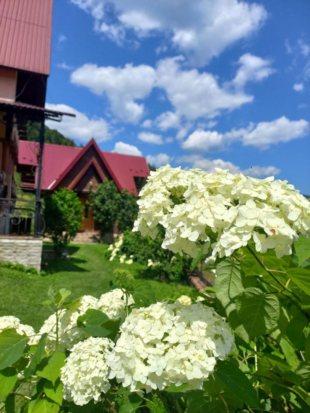 Karpatske Shale Villa Yaremche Bagian luar foto