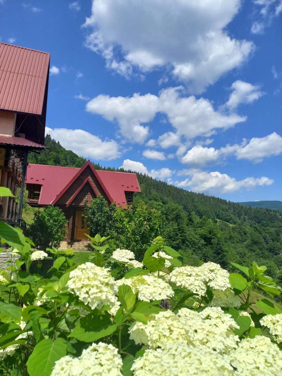 Karpatske Shale Villa Yaremche Bagian luar foto