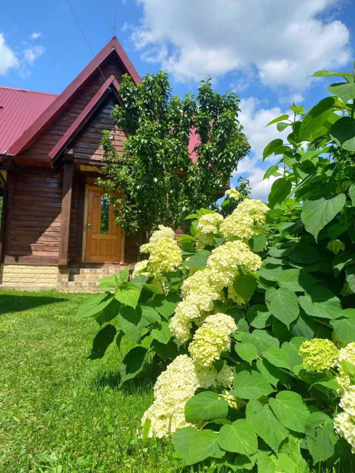 Karpatske Shale Villa Yaremche Bagian luar foto